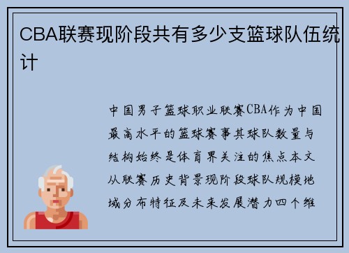 CBA联赛现阶段共有多少支篮球队伍统计